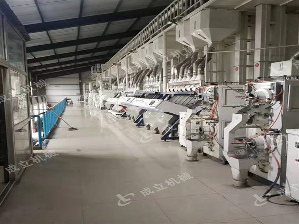 日產(chǎn)?150噸大米加工設備