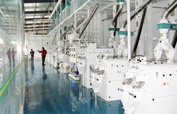 日產(chǎn)250噸成套碾米機設備